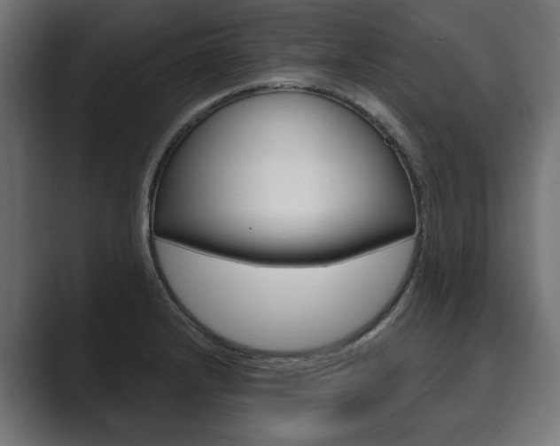 X0000089901232200706281129