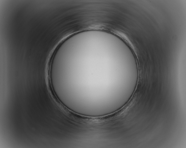 X0000089901235200706281129