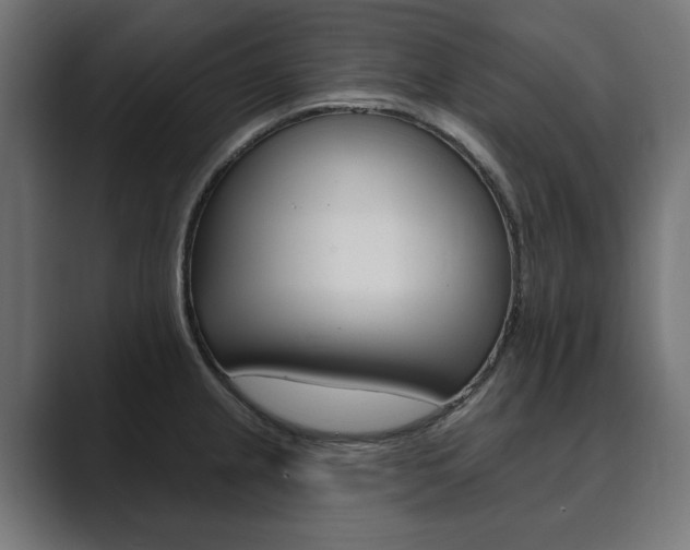X0000089901237200706281129