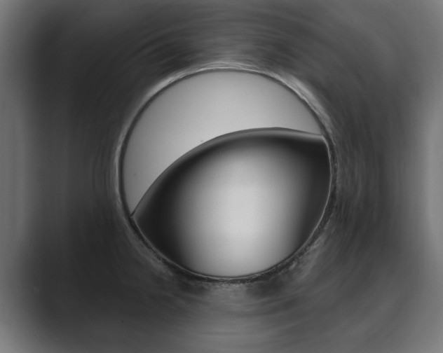 X0000089901238200706281129