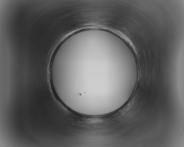 X0000089901239200706281129