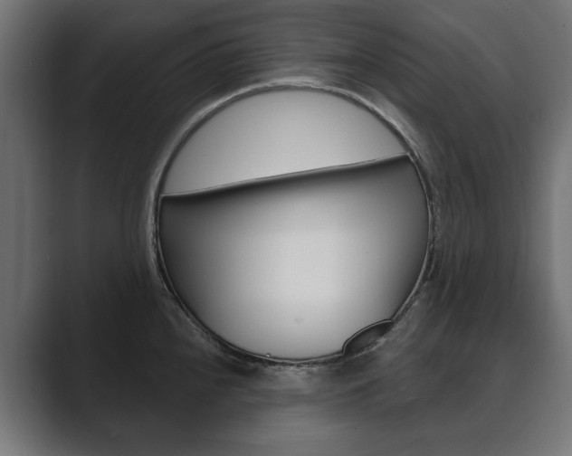 X0000089901240200706281129