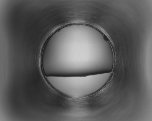 X0000089901245200706281129