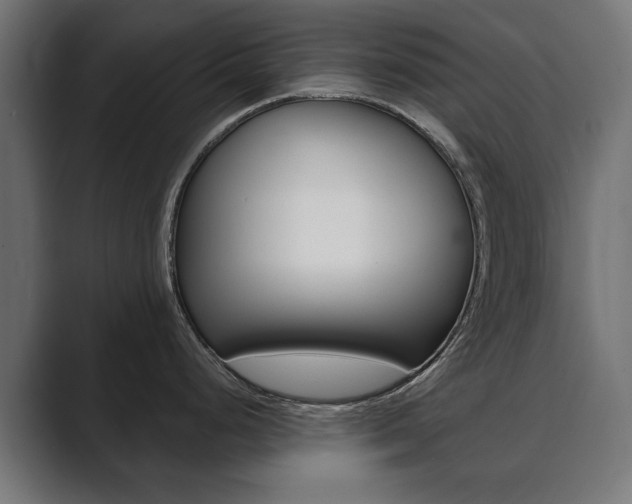 X0000089901248200706281129