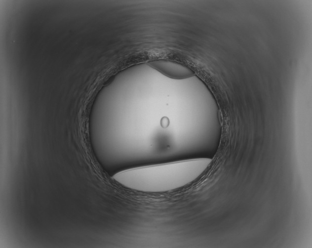 X0000089901249200706281129