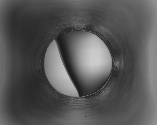 X0000089901252200706281129