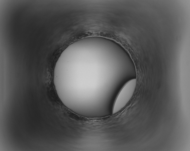 X0000089901253200706281129