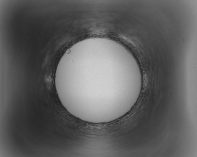 X0000089901254200706281129