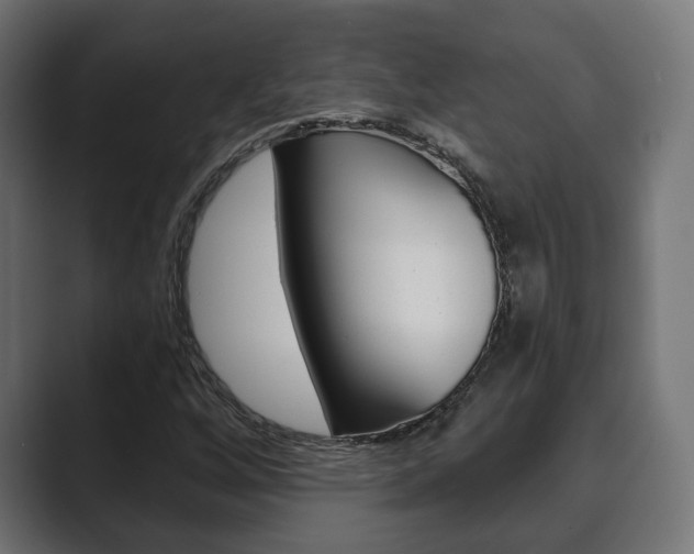 X0000089901256200706281128