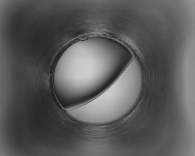 X0000089901260200706281128