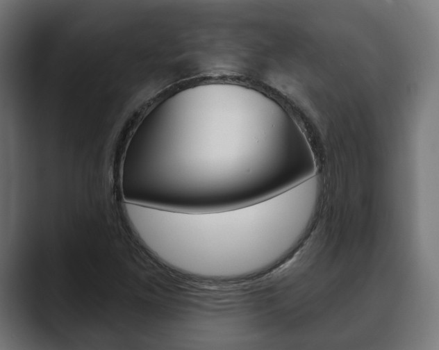 X0000089901261200706281128