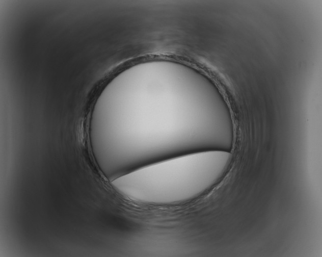 X0000089901262200706281128