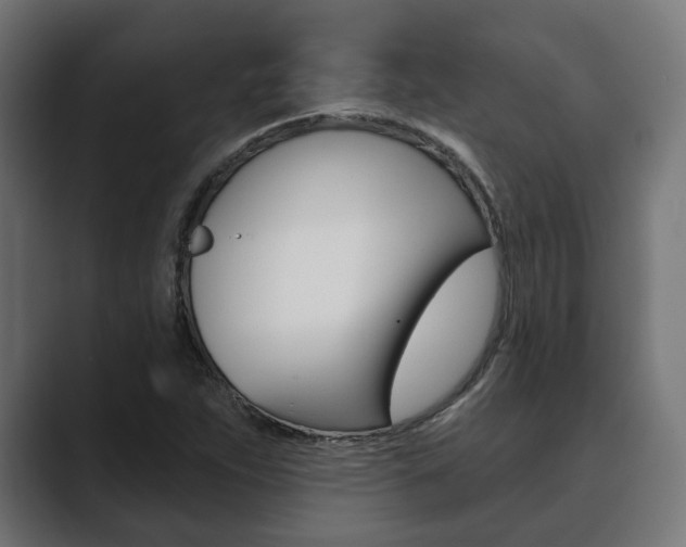 X0000089901263200706281128