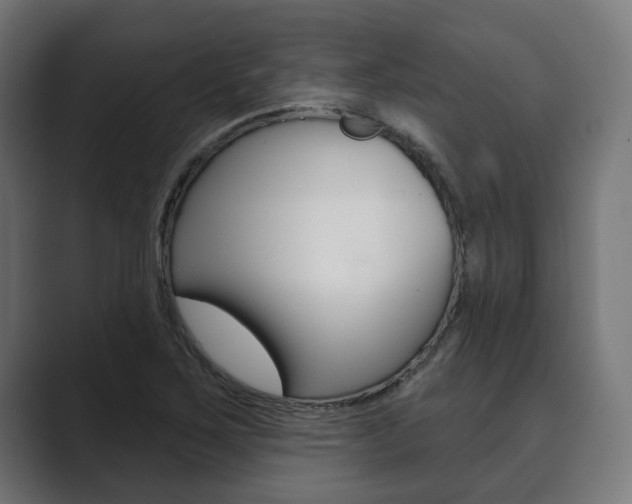 X0000089901267200706281128