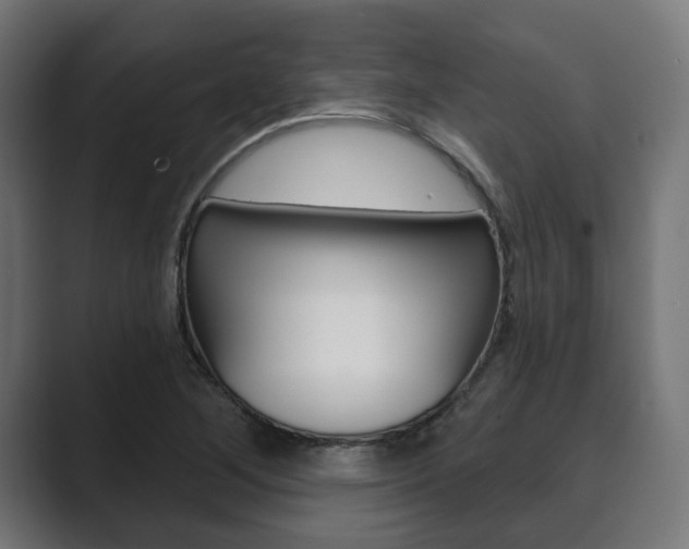 X0000089901268200706281128