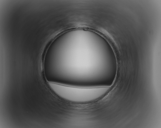 X0000089901269200706281128