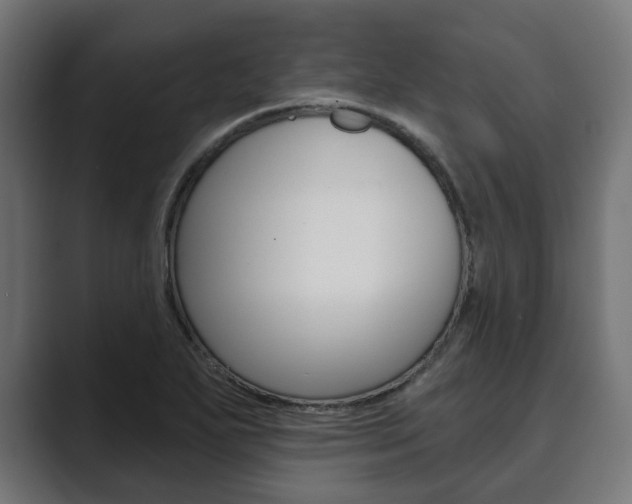X0000089901271200706281128