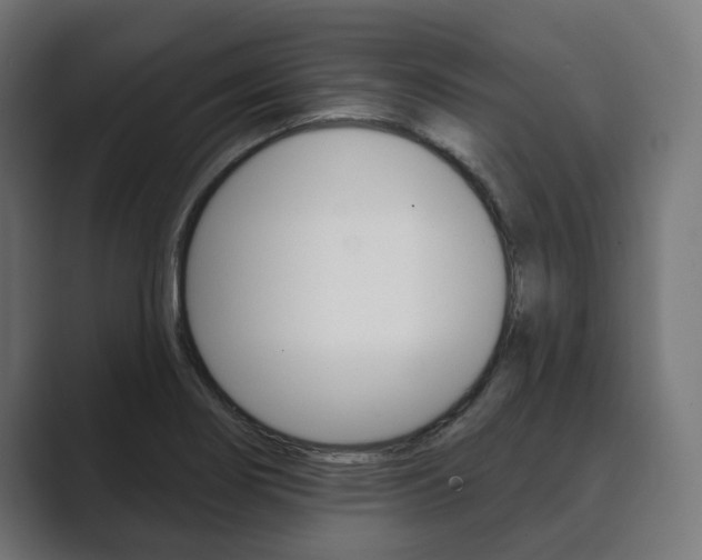 X0000089901274200706281128