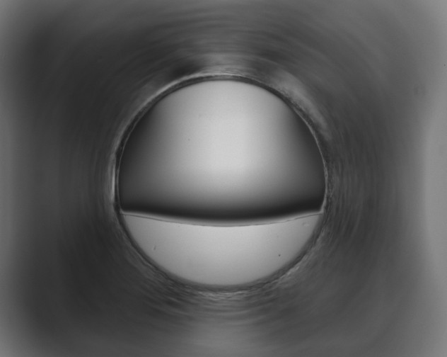 X0000089901276200706281128