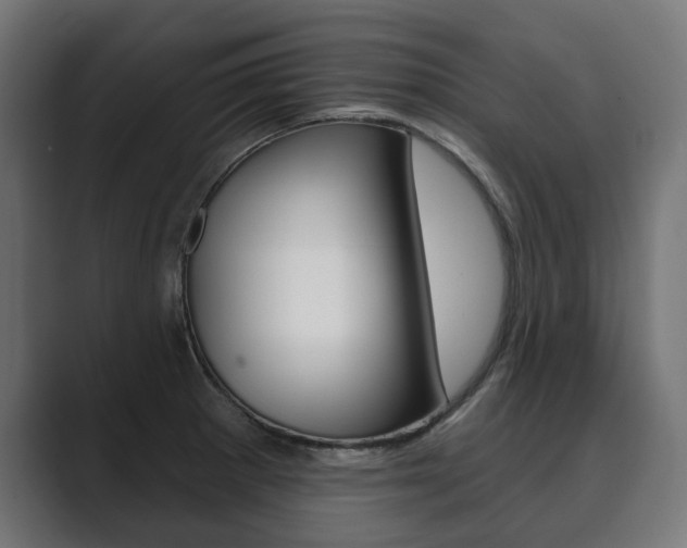 X0000089901281200706281128