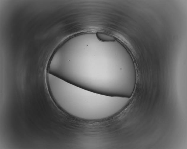X0000089901283200706281128