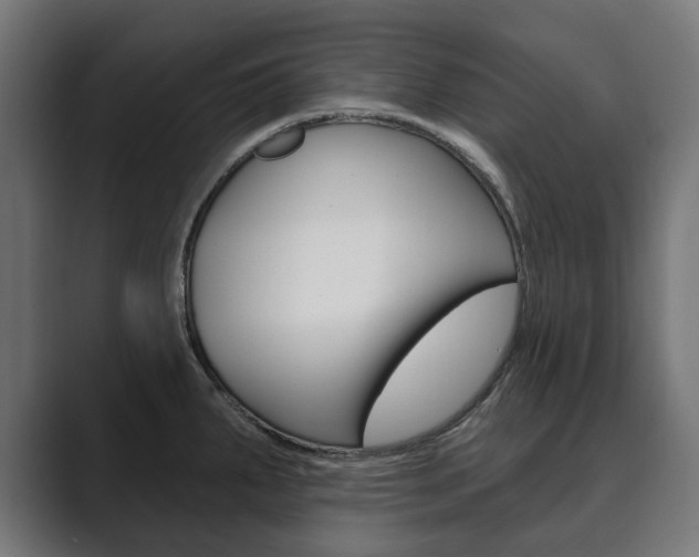 X0000089901287200706281128