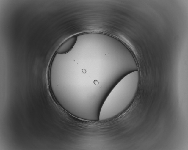 X0000089901291200706281128