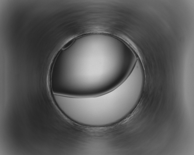 X0000089901293200706281128