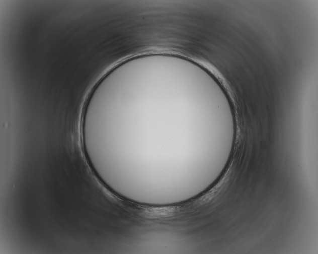 X0000089901294200706281128