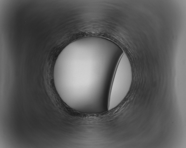 X0000089901297200706281127