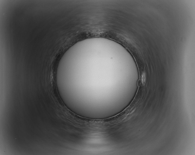 X0000089901299200706281128