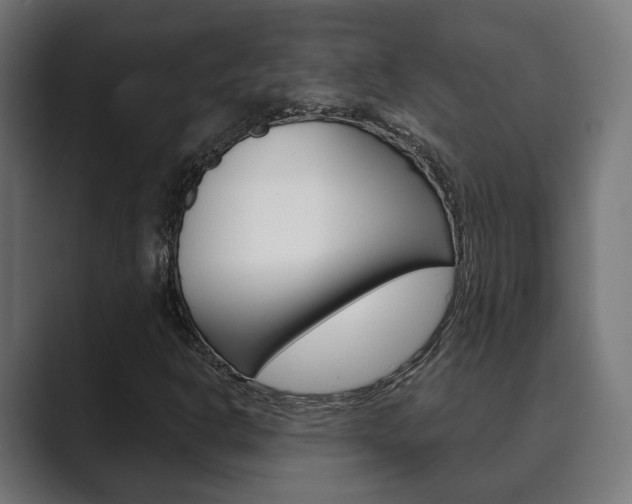 X0000089901302200706281128