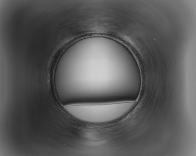 X0000089901307200706281128