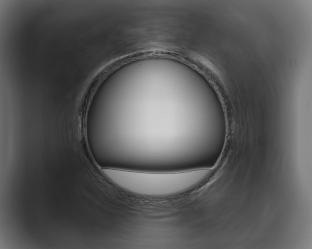 X0000089901310200706281128