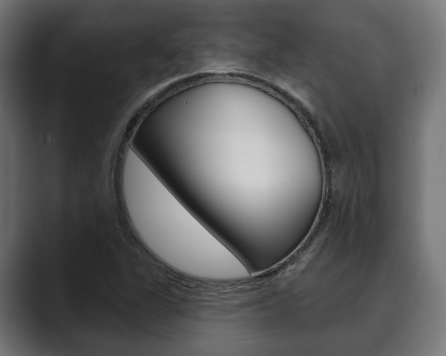 X0000089901311200706281128