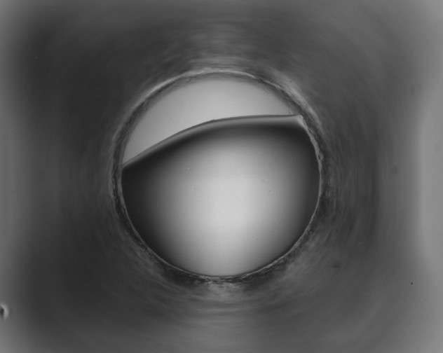 X0000089901312200706281128