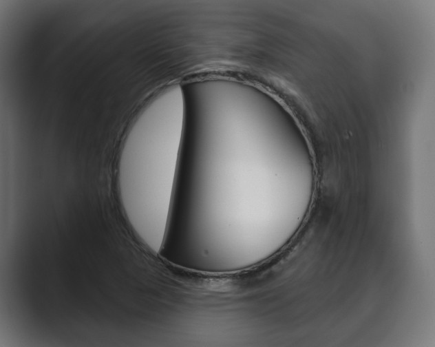 X0000089901313200706281128