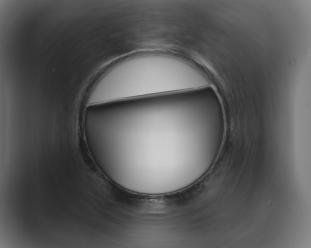 X0000089901315200706281128