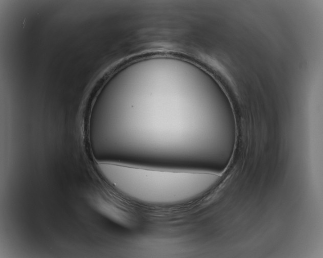 X0000089901318200706281128