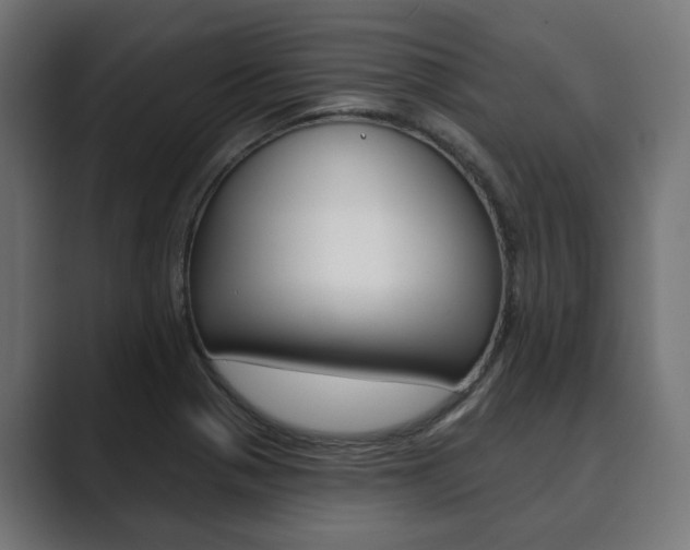 X0000089901321200706281128