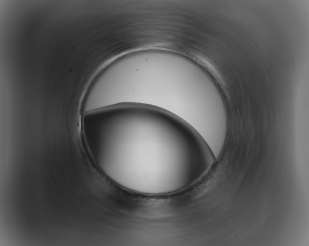 X0000089901324200706281128