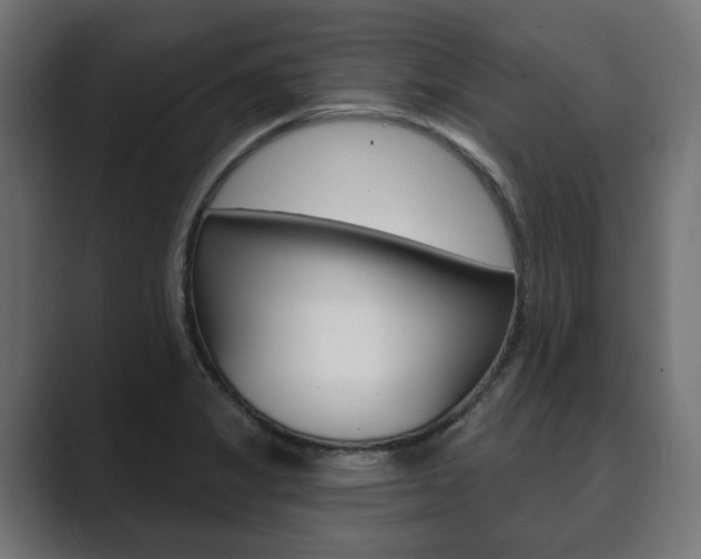 X0000089901325200706281128