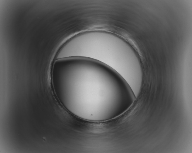 X0000089901328200706281128