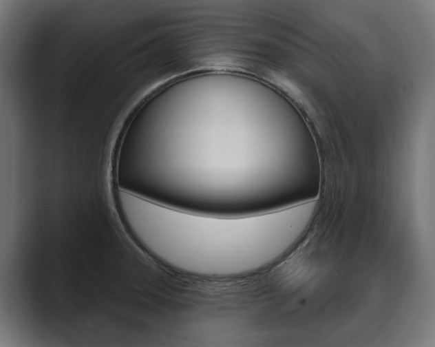 X0000089901331200706281128