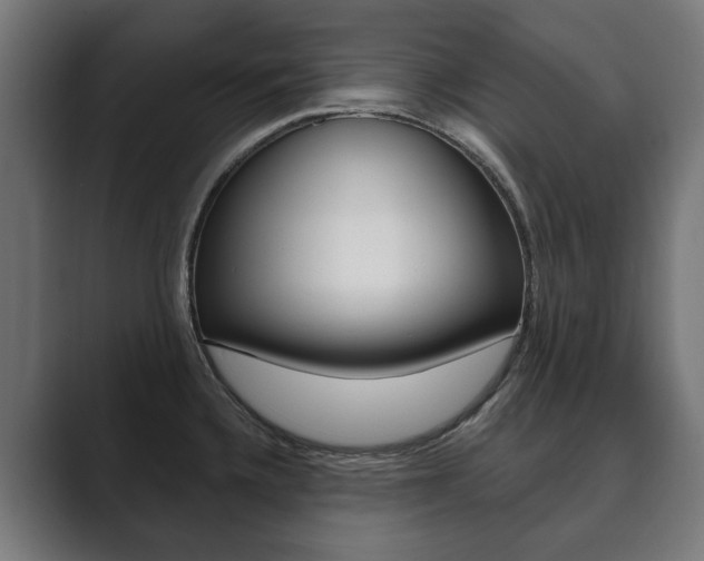 X0000089901336200706281128
