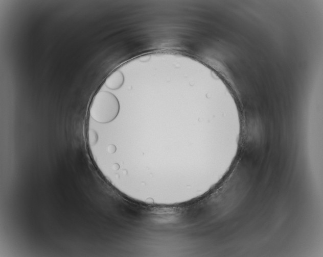 X0000089901338200706281128