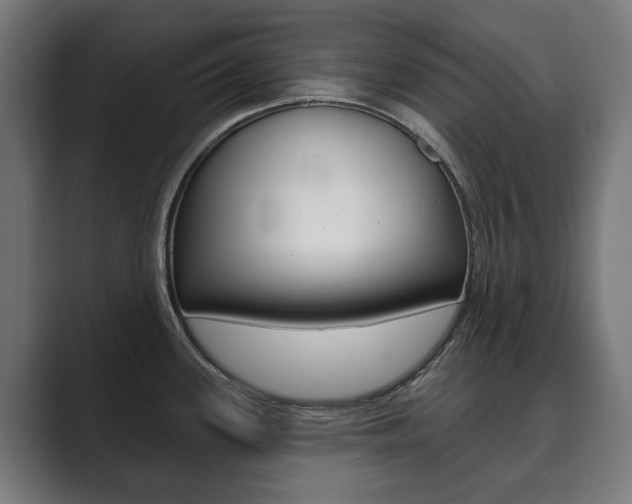 X0000089901339200706281128