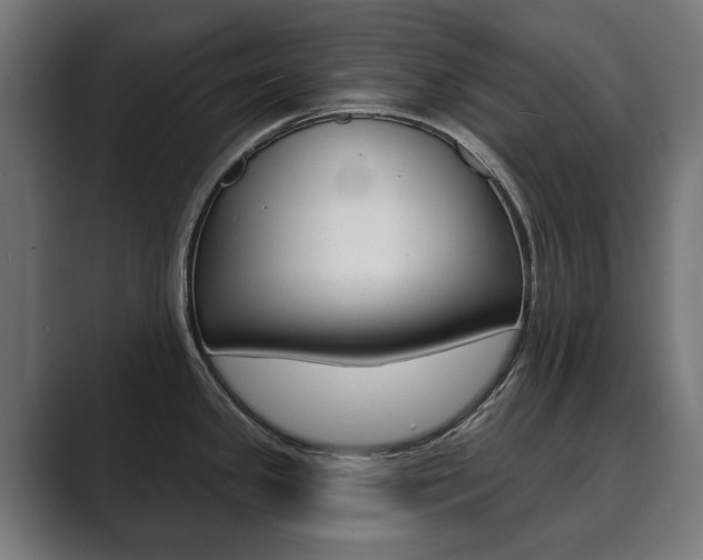 X0000089901341200706281128