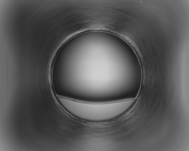 X0000089901342200706281128