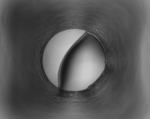 X0000089901345200706281127
